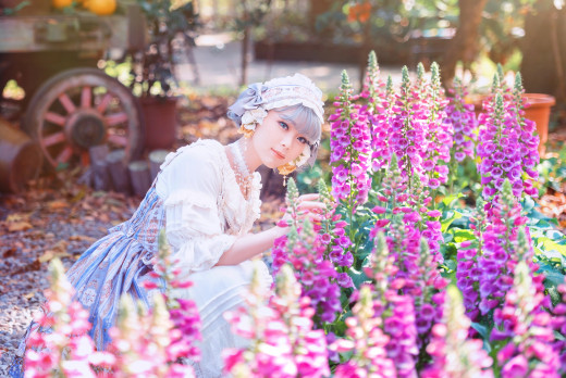 1759425 (a): :4000x2670